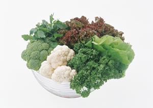食器OEMで評判の業者をお探しなら