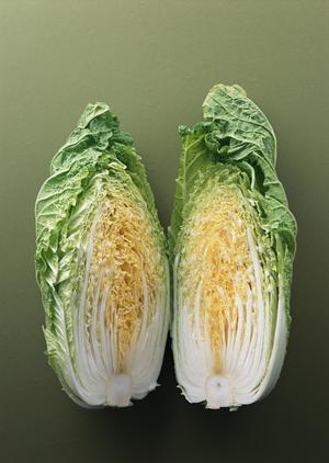 通販で高級魚のふぐを購入する事が可能