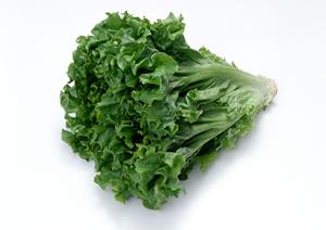 渋谷で最高の焼肉店を見つける！2025年最新ガイドと選び方のポイント